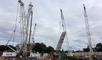 Cranes